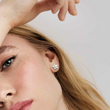 Load image into Gallery viewer, MYSOPHIE EARRINGS 029903/023 STAR CZ STUDS
